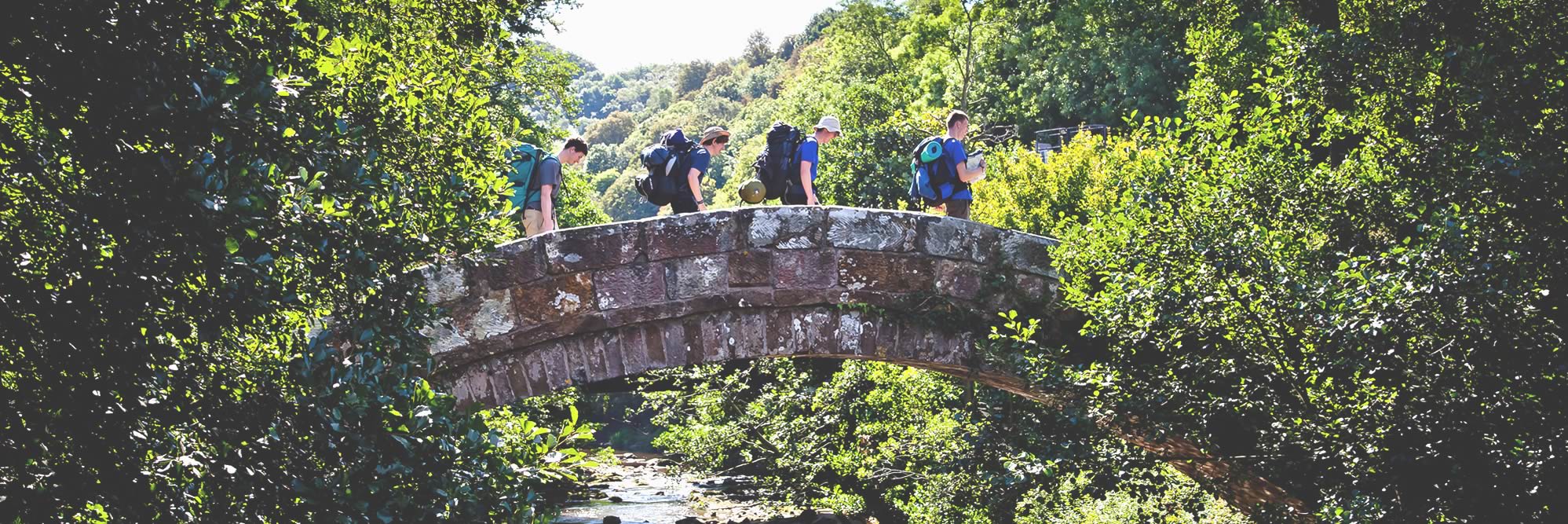 A group of walkers going over a stone bridge amid a mass of leafy summer trees