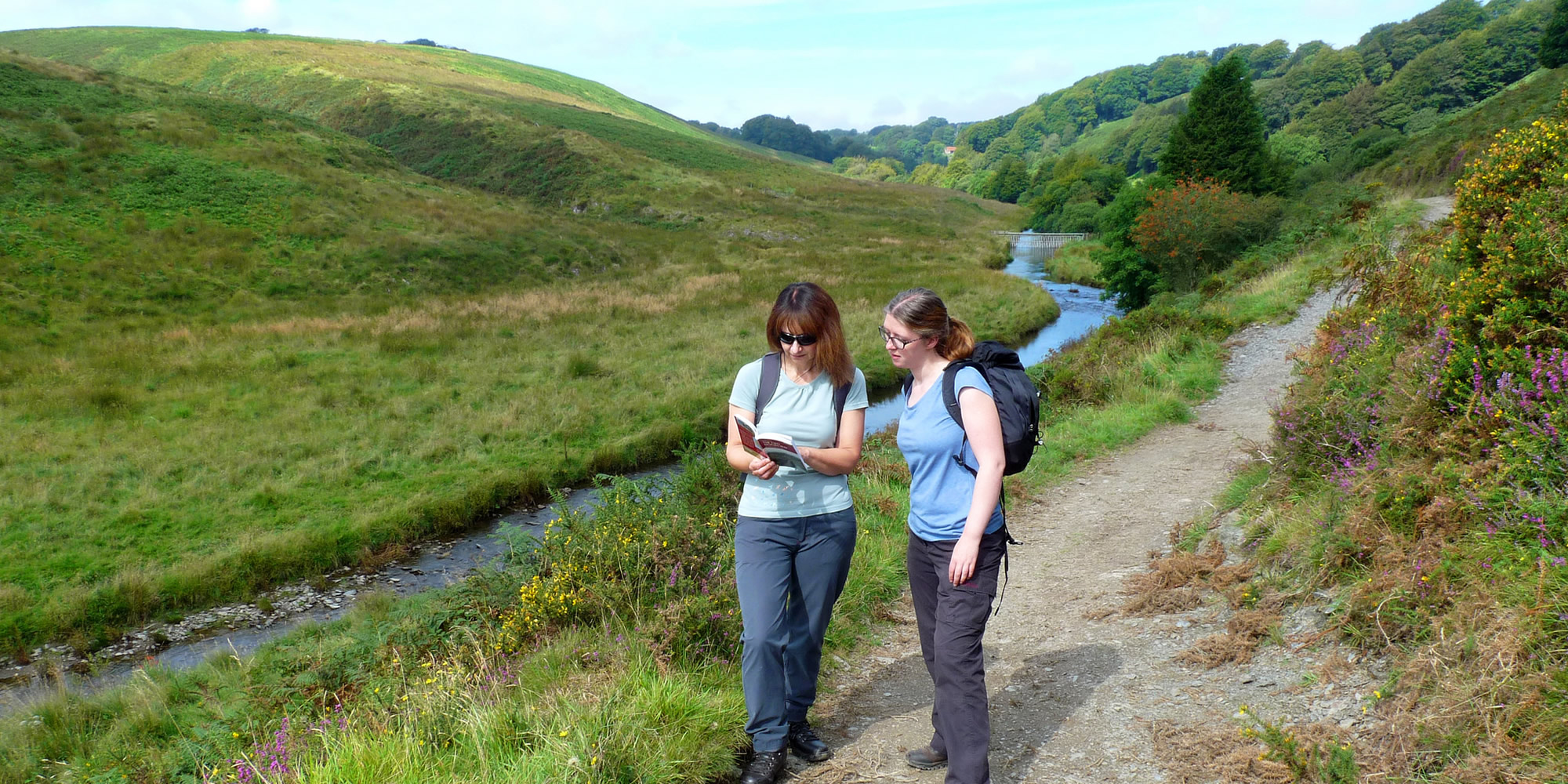 Two walkers on a grassy track studying a map