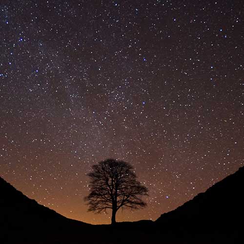 A lone tree on the horizon in between two hills with a dark stary sky above