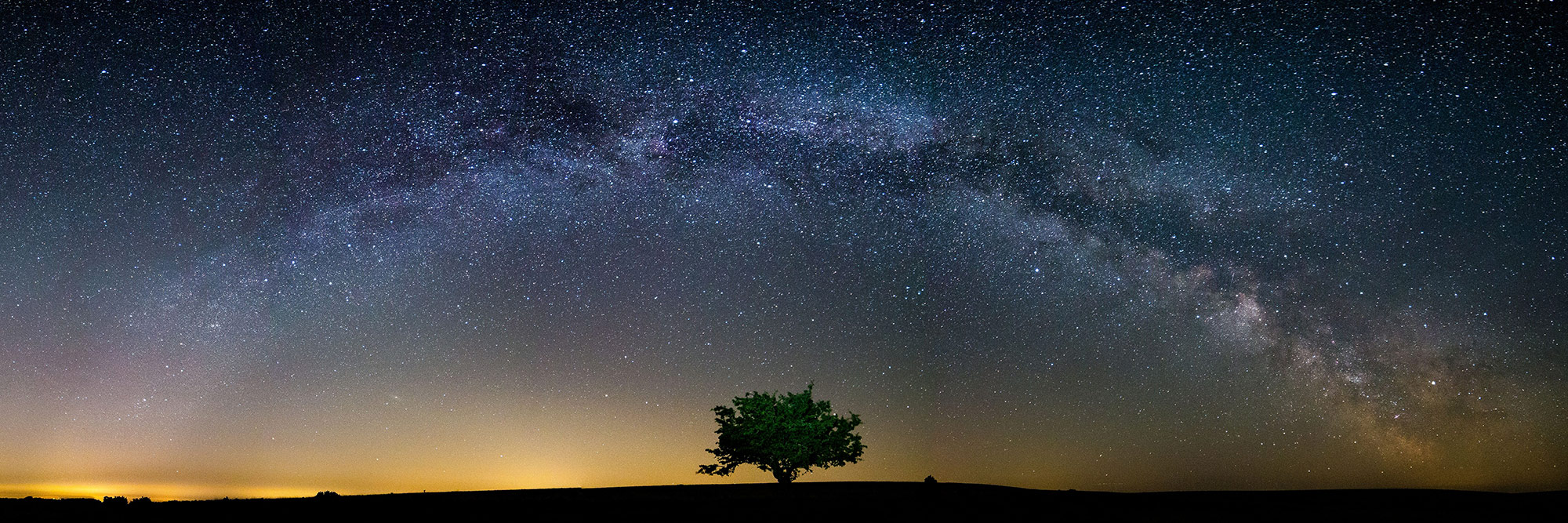 Milky way stars over a long tree on a moor