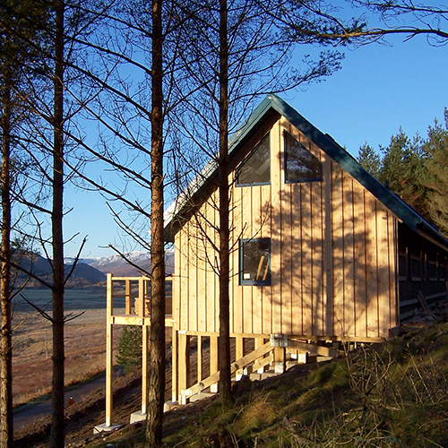 Wooden holiday cottage amongst a lakeside woodland