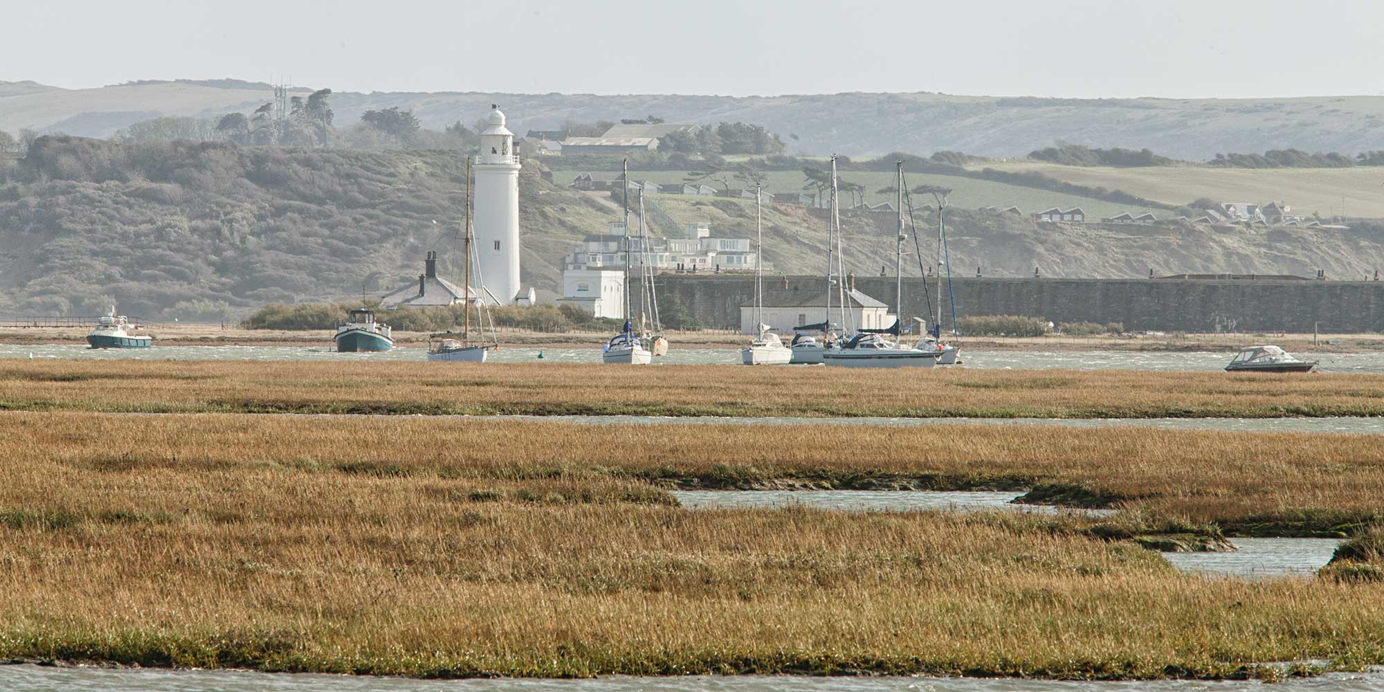 Grassy wetlands with a lighthouse and sailing boats in the distance