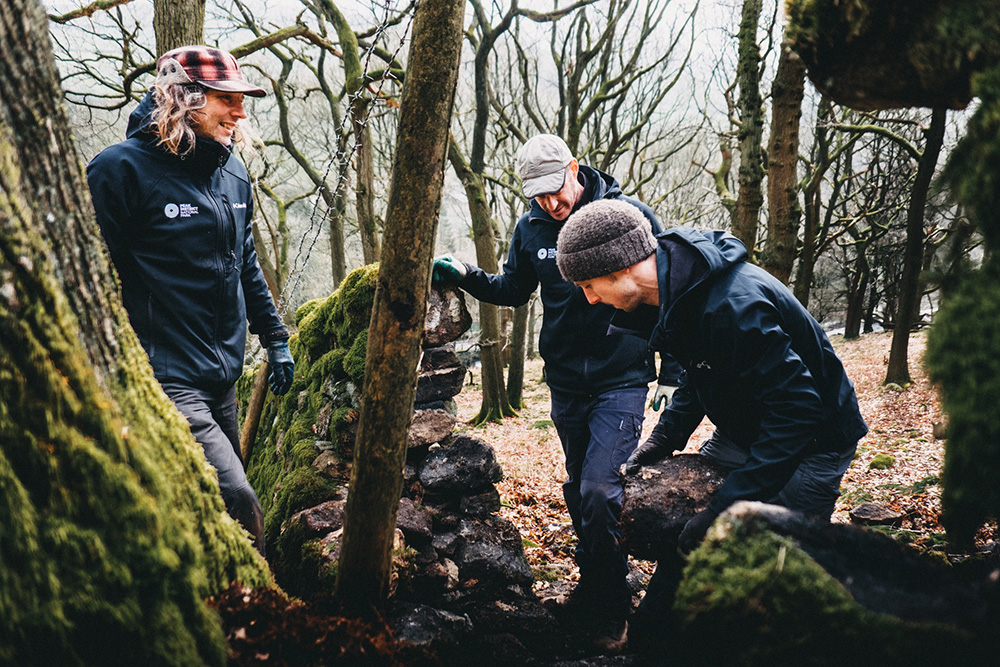 Rangers repairing a dry stone wall in a woodland